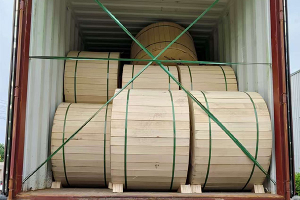 fiber optic cable
